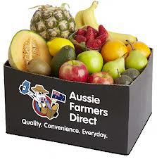 CORRUGATED CARTON FRUIT BOX