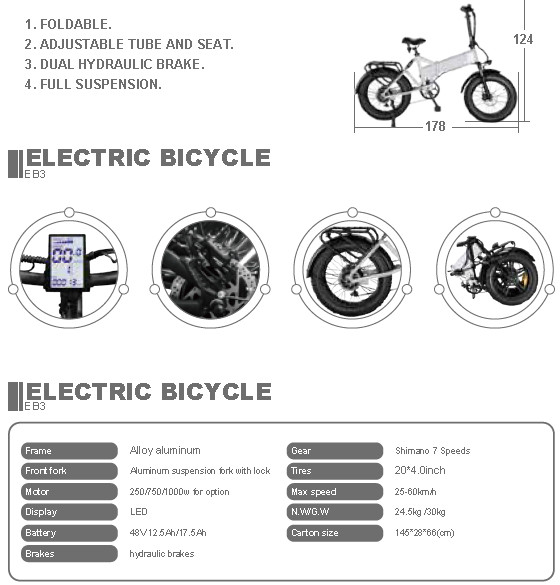 EB3 Foldable 20*4.0 Inch Fat Tire Electric Bike With Mechanical Disc Brake