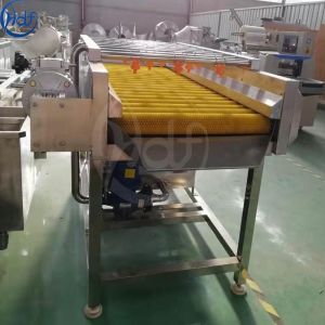 Fruit and vegetable processing equipment/wool roller high pressure spray