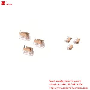 Plastic Housing Copper Contact Automotive Fuse Holder 30A-100A