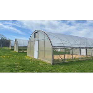 Quality Galvanized Steel Tunnel Greenhouse with &gt;90% Light Transmittance for sale