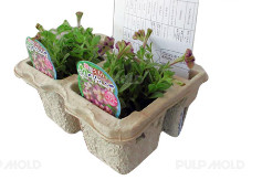 Semi Automatic Paper Pulp Molding Machine Producing Electronic Package