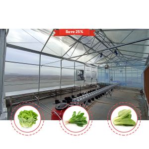 Galvanized Steel Tunnel Greenhouse 2.6-3.5m Height with 200 Micron Film