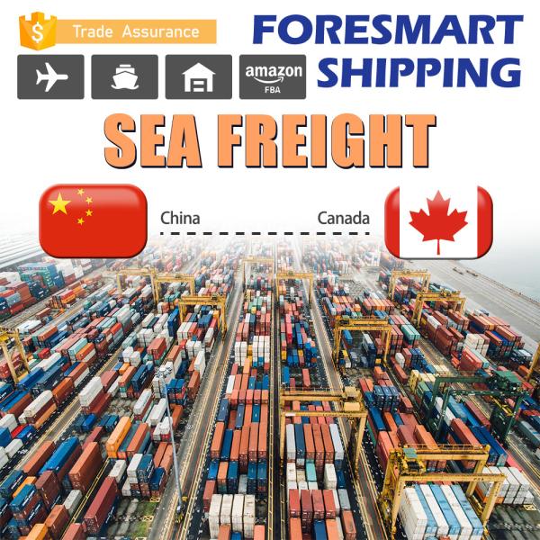 Buy 40FT Container Shenzhen To Canada FCL Sea Freight at wholesale prices
