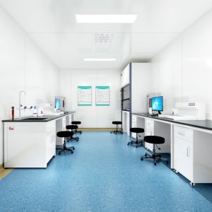ISO 14644 Class 8 Modular Cleanroom GMP Pathology Engineering Cleanroom Solution