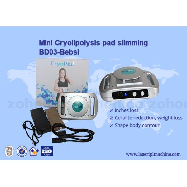 Buy Home Use Mini Cryolipolysis Machine 220v / 110v Slimming at wholesale prices