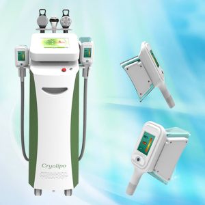 Quality Most popular cooling shaping treatment body slimming cryolipolysis machine for sale