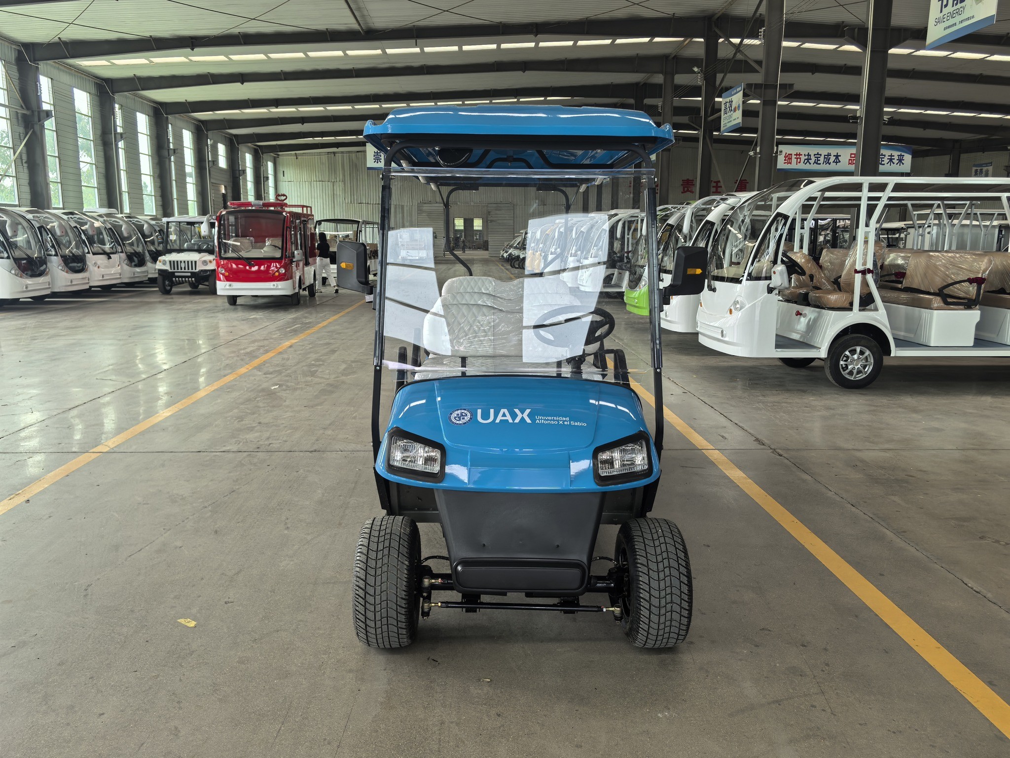 Quality 60V Battery Powered Lithium Golf Cart for 6 Passengers for sale