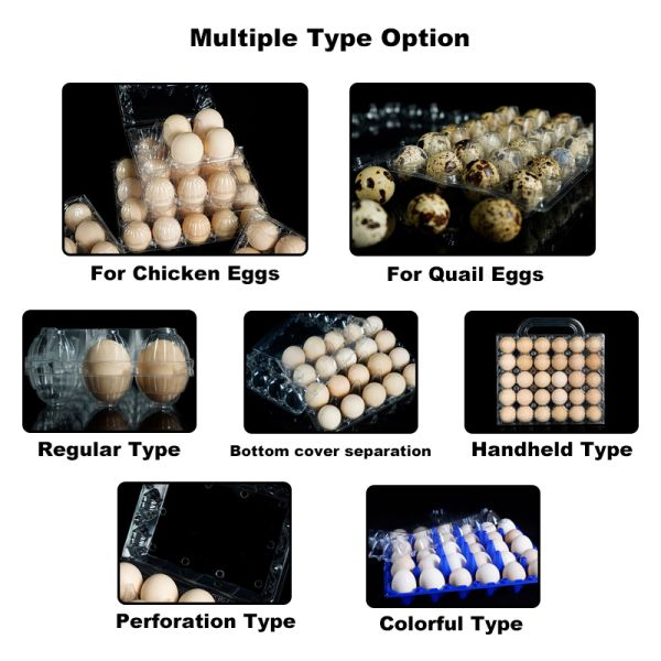 Transparent Plastic Egg Trays Egg Box Free Shipping Plastic Egg Tray with Handle Hot Selling Lightweight Portable Egg Carrier Durable 28/30-Egg Trays