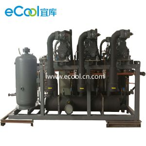 Low Noise Screw Parallel Refrigeration Compressor Unit For Cold Storage