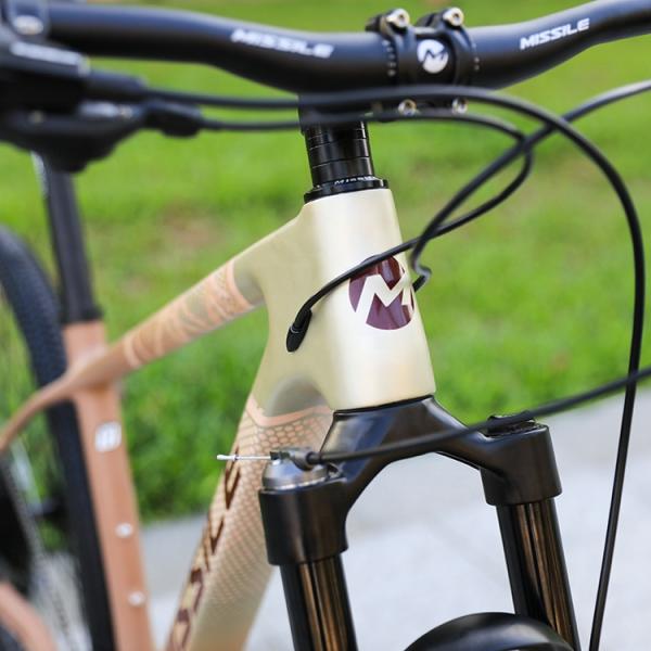 Aluminum Alloy Fork 29 Inch Mountain Bike with Hydraulic Disc Brake and Front Suspension