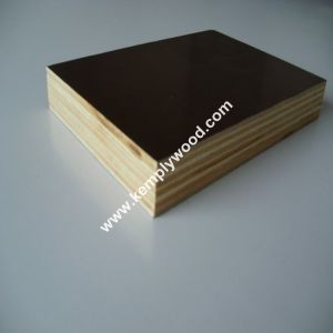 One time hot press whole piece core black brown film faced plywood for sale