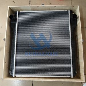 Radiator 30/915200 30/915300 30/925610 30/925611 30/925612 Engine Water Tank