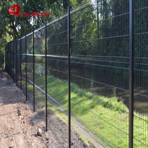Quality Galvanized Wire Mesh 6 Gauge Panel Security Bending Garden Mesh Welded Curved 3D Fence for sale