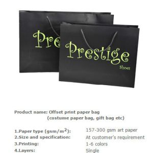 Nice Design Paper Shopping Bag , Recycle / Environmental Luxury Shopping Paper