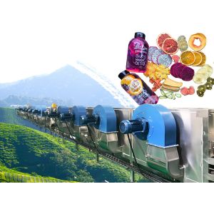 Safety Dried Fruit Processing Equipment / Industrial Tomato Drying Machine