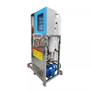 Seawater Desalination RO Reverse Osmosis Water Treatment Machine For Portable