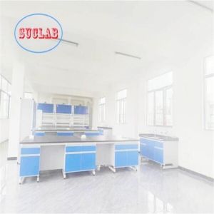 OEM/ODM Acceptable Modular Lab Furnitures Design with Sand Blasting