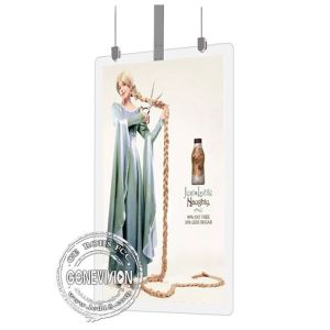 Ceiling Mounted Double Sided OLED WiFi Digital Signage