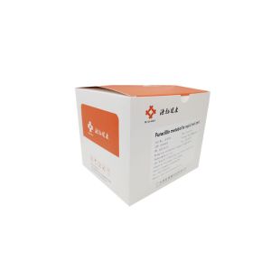 0.5 PPB Food Safety Rapid Test Kit Furacilin Rapid Test Card