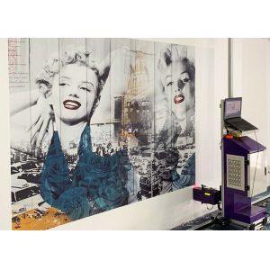 DX-7EPSON 3D Wall Inkjet Printer