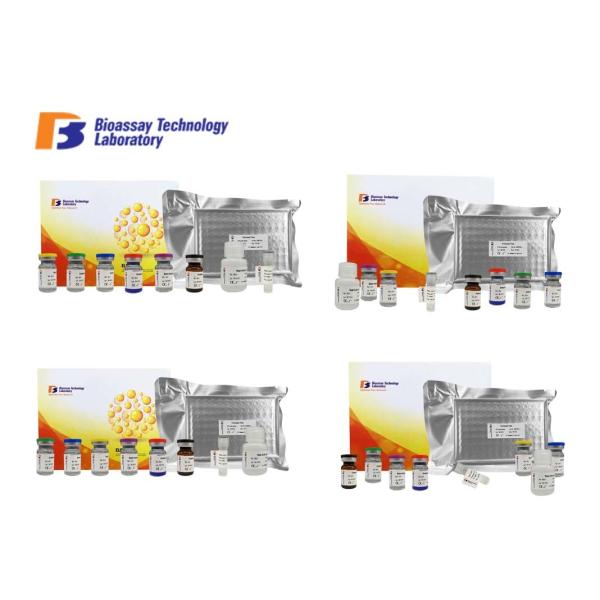Rat Fbg ELISA Test Kit Fibrinogen Immunoassays Test Kit With High Sensitivity