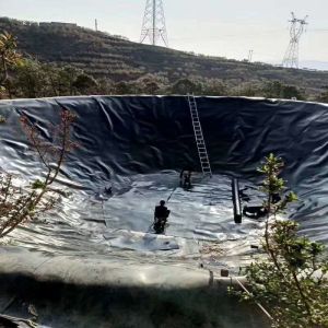 0.2mm Black Plastic Anti-Seepage Geomembrane with CE/ISO9001/ISO14001 Certificat