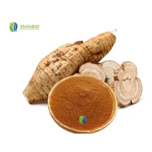 Pueraria Mirifica Extract 98% Puerarin Kudzu Root Extract Powder