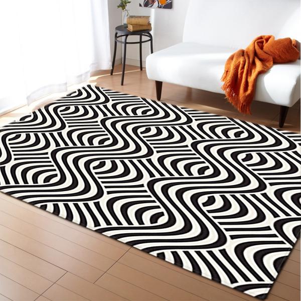 3D floor painting, three-dimensional entrance, long square living room carpet, floor mat, anti slip and water absorbing