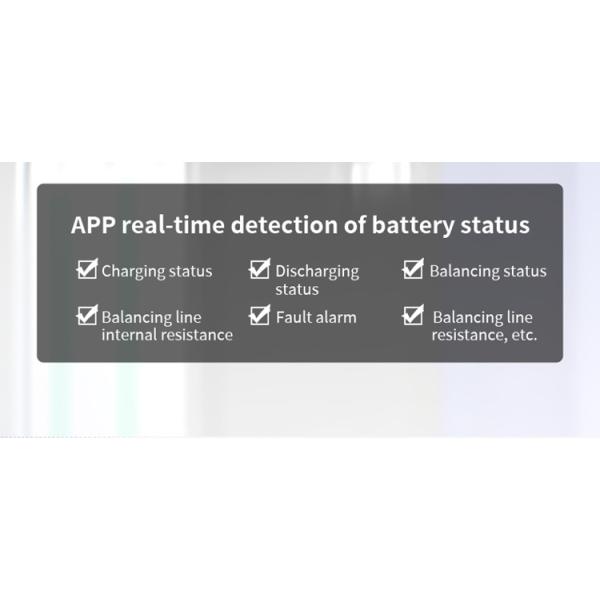 Enerkey BMS Protection Electric Vehicles Smart Bms 16S 17S 18S 19S 20S 21S 22S 23S 24S 100A 200A 300A with 8A Active Balance