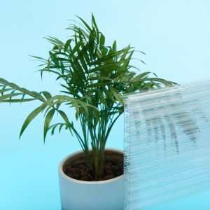 Luxury 25mm Hollow Core Polycarbonate Sheet 2100x6000mm