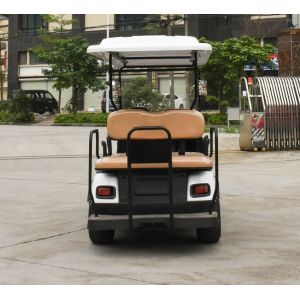 CE Certificate 6 Seats Golf Carts Backward Seats