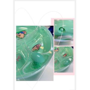 PP Polypropylene BPA Free Baby Feeding Bowls And Spoons