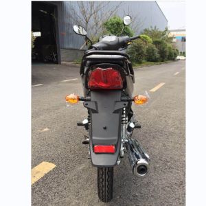 Fashionable Custom Street Motorcycles 110cc With Four Stroke Air Cooled Engine