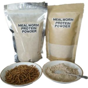 Light Yellow Dried Mealworm Protein Powder Concentrate 2 Bags / Carton
