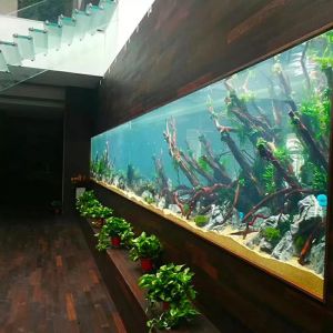 Customizable Acrylic Aquarium Fish Tank with Cutting Service Sustainable