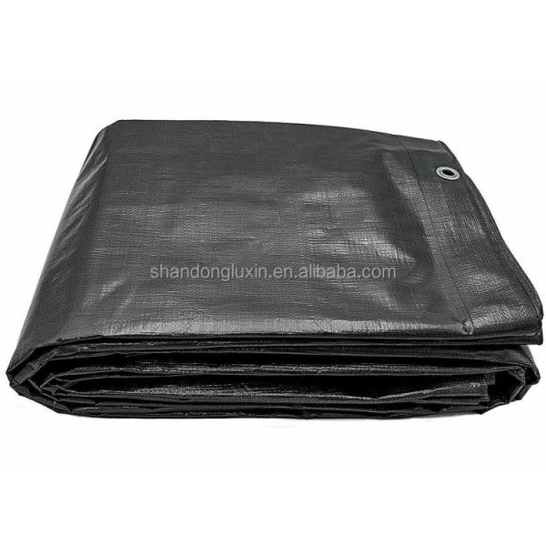 Buy LDPE Coated Poly Tarps for Heavy Duty Outdoor Protection Lightweight and Waterproof at wholesale prices