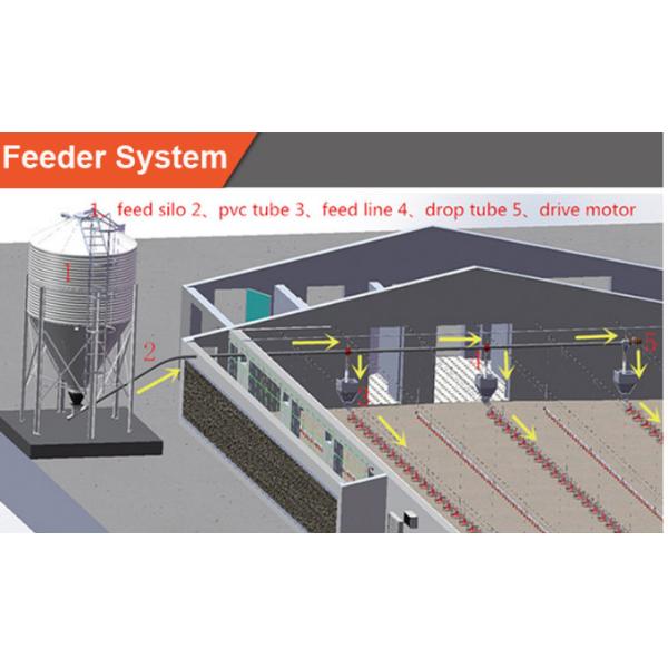 Poultry Farm 35cm Automatic Pan Feeding System