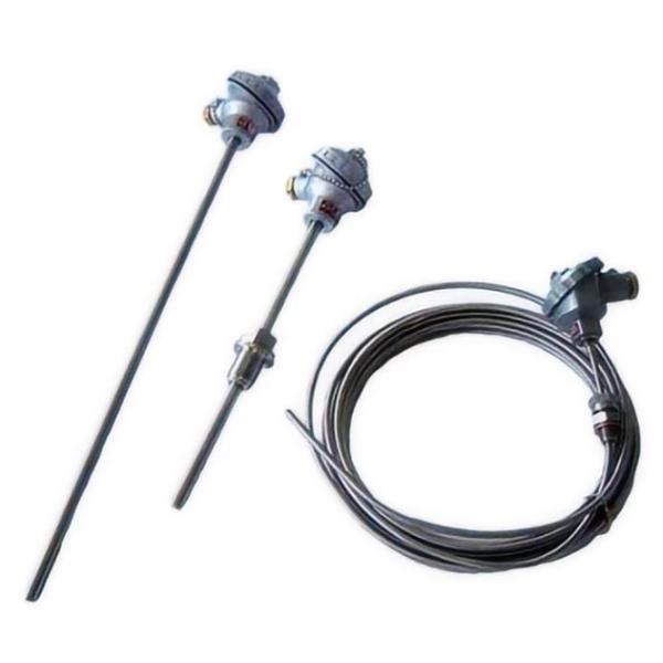Quality WRNK2-221 WRNK2-231K armored thermocouple precision nickel chromium nickel silicon waterproof and splash proof temperature probe rod WRNK-501 WRNK-521 for sale