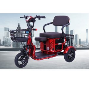 Small Household Leisure Electric Tricycle 2 Seater Small