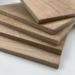 Mildewproof Poplar Hardwood Veneer Plywood Harmless Practical