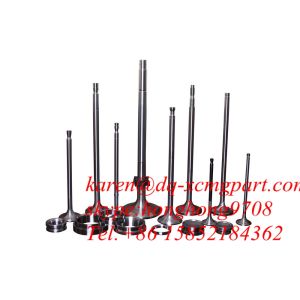 China XCMGSPARE PART  wheel loader ZL50G  LW300F EXHAUST VALVE RING on sale