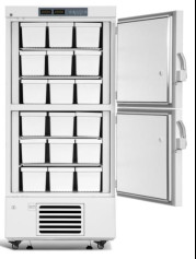Minus 25 Degrees 528L Capacity Upright Laboratory Vaccine Freezer With Double
