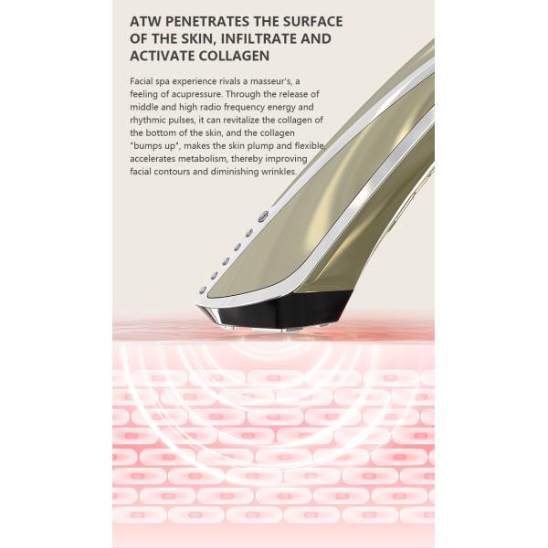 IAP Portable Skin Tightening Facial Massager Radio Frequency