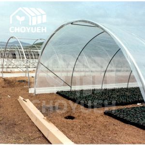 Quality Create the Perfect Environment with Single Stretch Shading System for sale