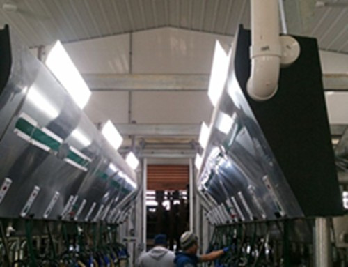 Isolated driver 45w linear led light with 2835SMD 1200mm