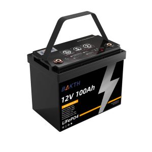 Quality LiFepo4 Battery 12V 100Ah Pack Voltage Output Lithium Iron Phosphate Battery Pack for sale