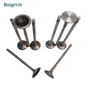 China A27110530601 A27110500627 Intake And Exhaust Valves For Mercedes-Benz 271 Old Model on sale