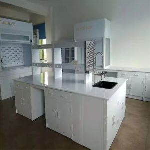 Durable Chemistry Lab Furniture Customizable and Long Lasting