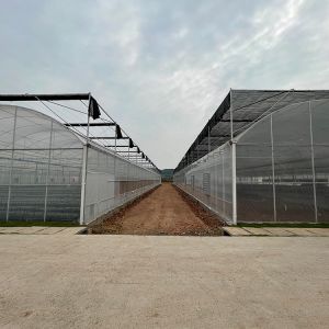 Commercial Multi Span Greenhouse with Tunnel Shading System Tomato Cooling